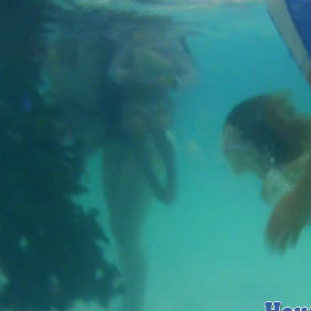 Students will be decorating our underwater Christmas Tree during class with glow rings Dec 13-19.